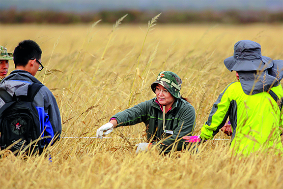 02-2014年10月解焱博士在“保护地友好大雁米”的稻田中进行生物多样性样方调查.jpg
